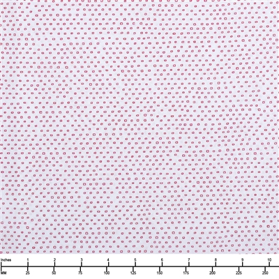 QT Fabrics Pixie 1649-24299-ZR - 32-inch EOB Special