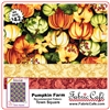 Pumpkin Farm - 3 Yard Quilt Kit