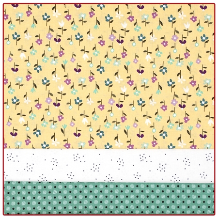 Whimsy-Daisical - 3-Yard Quilt Kit